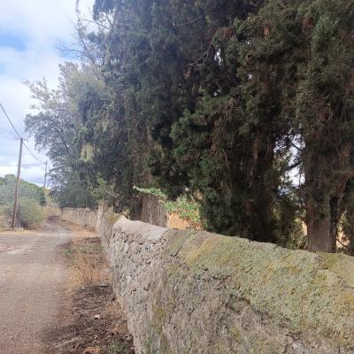 Mandra